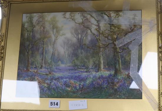 Frederick Golden Short (1863-1936) watercolour, Bluebell wood, signed, 26 x 36cm.